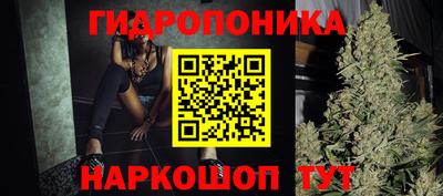 apvp Тверь