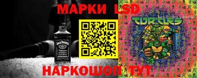 apvp Тверь