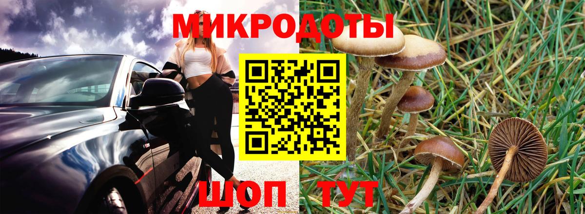 купить   Псилоцибиновые грибы Magic Shrooms  Вход с VPN  Мценск 